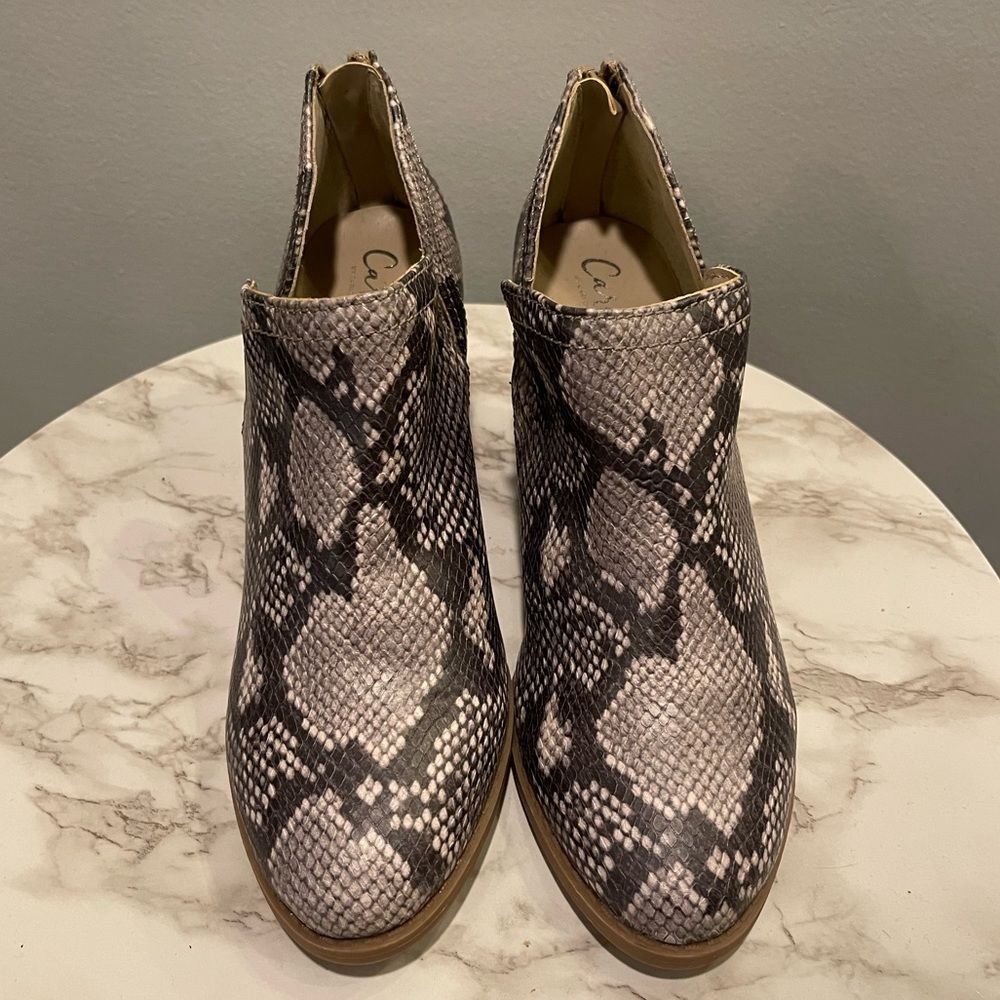 𝅺Carlos Block Snakeskin V Shaped Block Booties